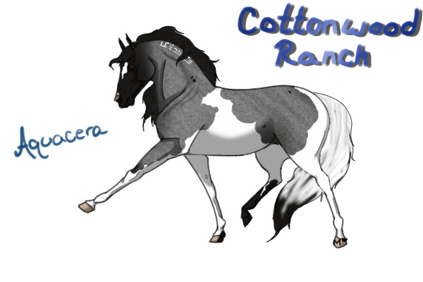 CWHR: blue roan
