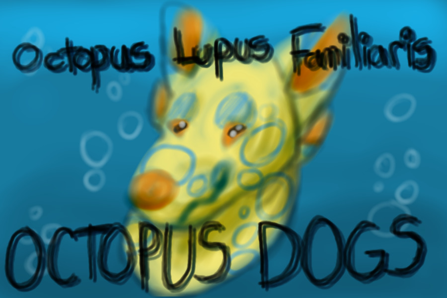 :: octopus lupus familiaris