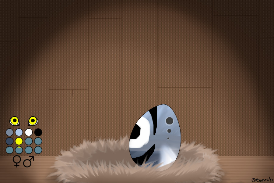 Parrapup Egg