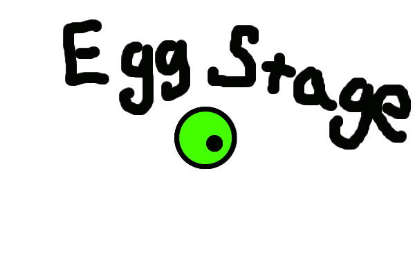 Egg Stage Example