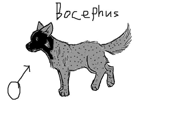 Bocephus(New Character)