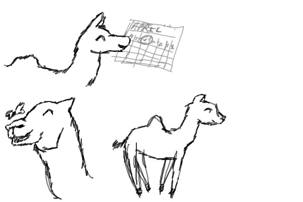 Wednesday the Camel