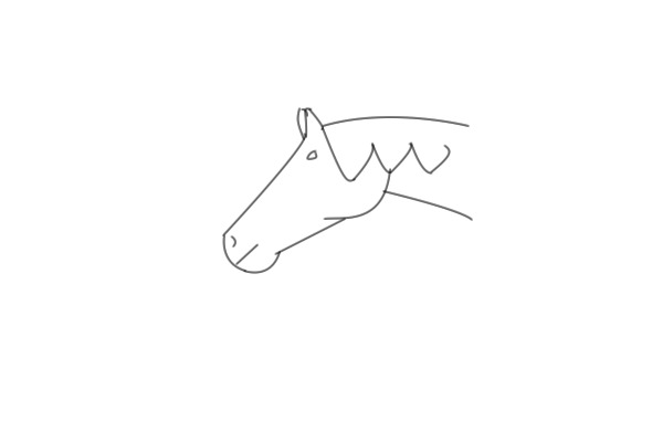 Trying a horse