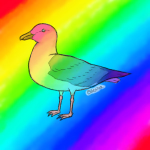 Seagull-logic for Rainbow Seagull