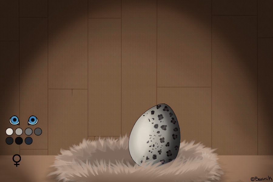 Parapup Egg design