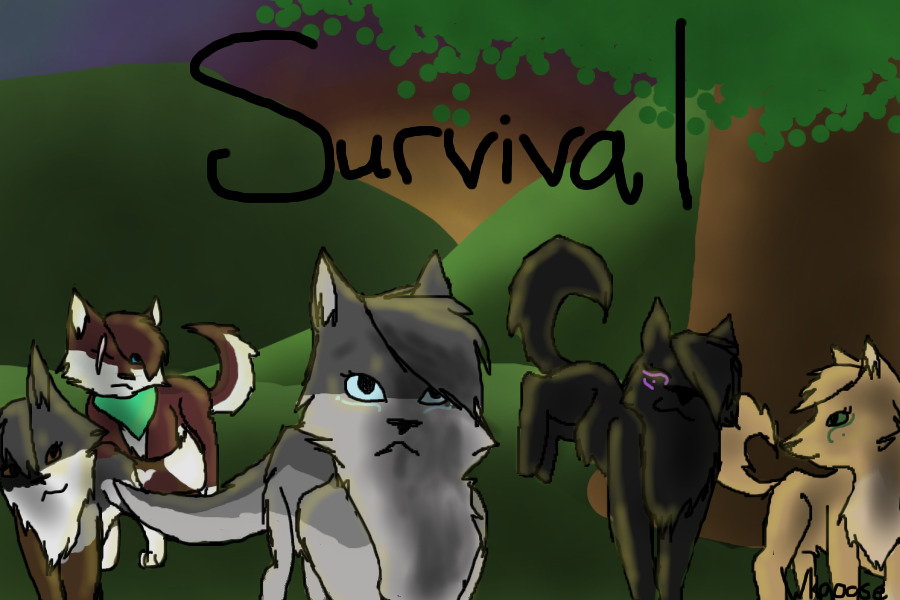 Survival Cover (redo)