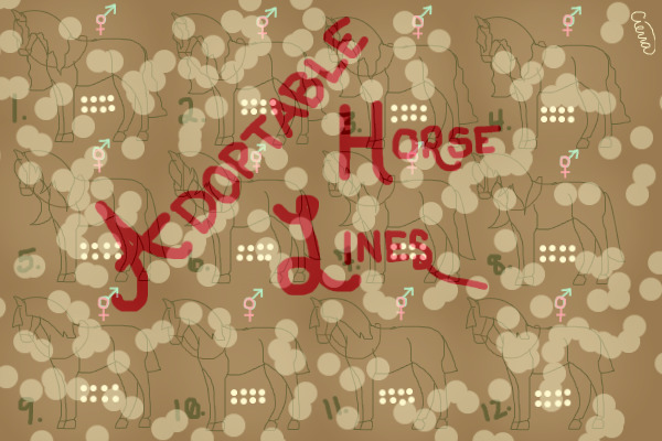 Adoptable Horse Lines