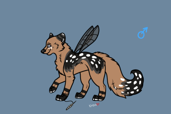 Elsu's Reference Sheet