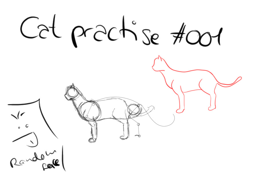 Cat practise #001