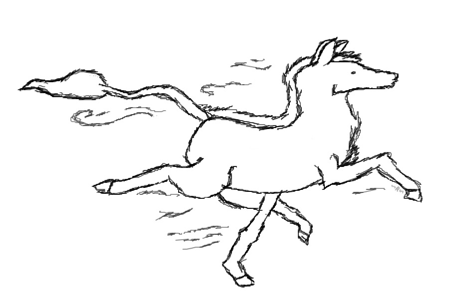 WME sketch