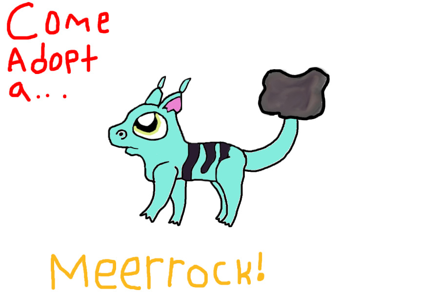 Come Adopt A Meerrock!
