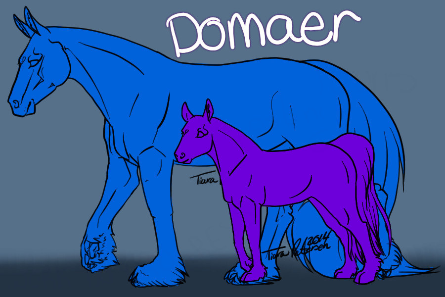 Welcome to the Domaer! [currently a wip <3]