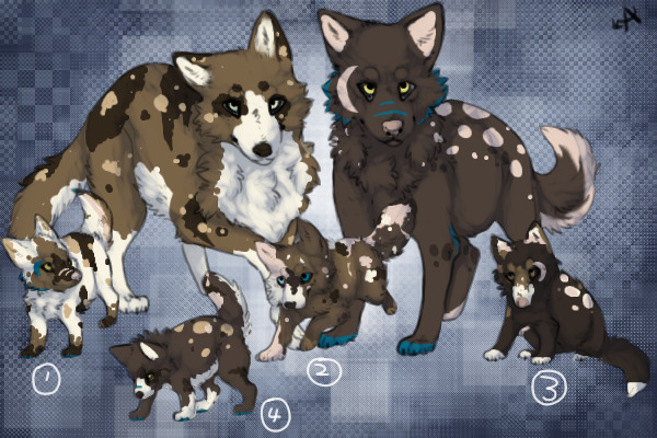 Breeding {Puppies given away/kept}