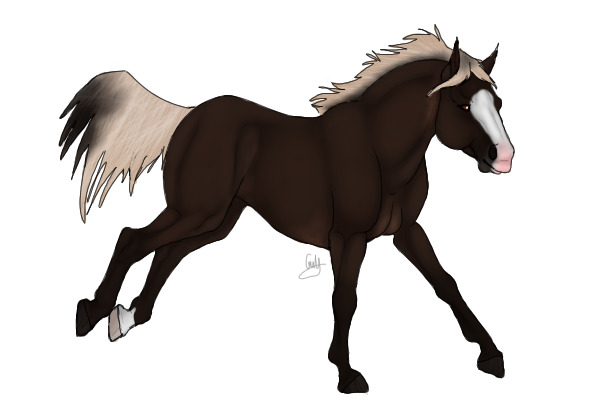 BHS: Liver Chestnut Mustang Stallion