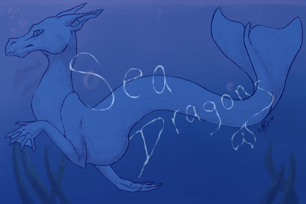 Feather Sea Dragons ~ Looking for Staff