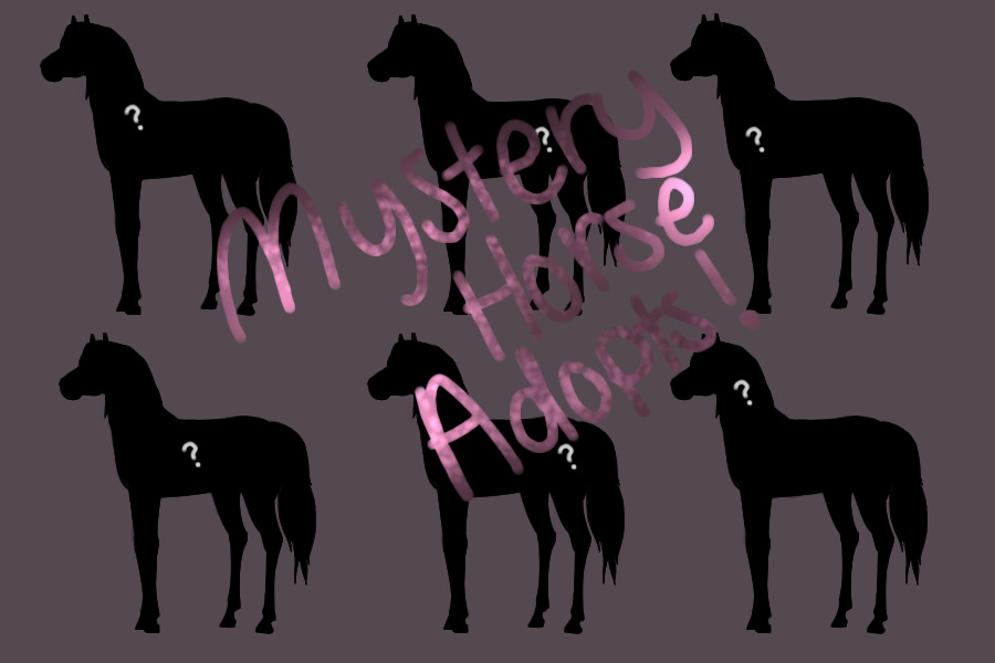 Mystery Horse Adopts