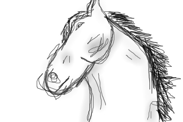The face of a horse.