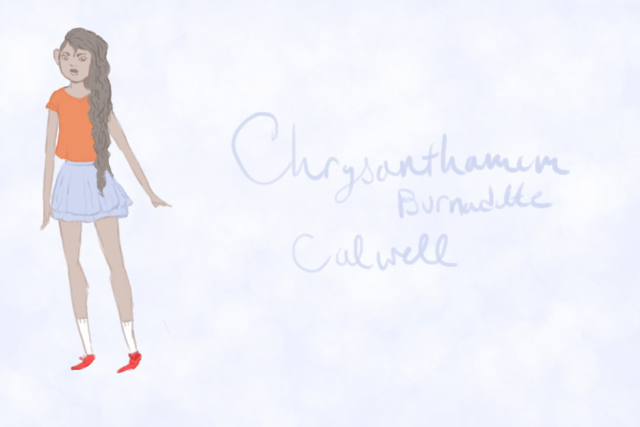 Chrysanthemum >> New OC