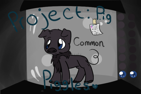 Project Pig: Piggles