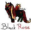 Black Rose Revamp -WIP-