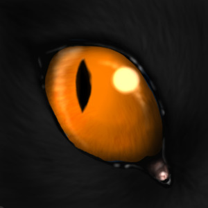 Eclipse's eye