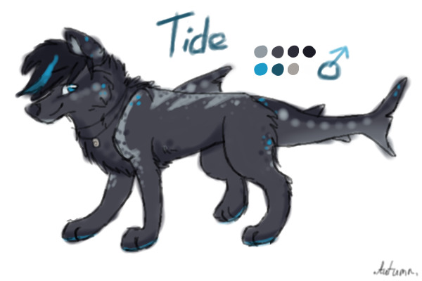New Character - Tide