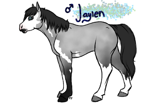 iron grey stallion