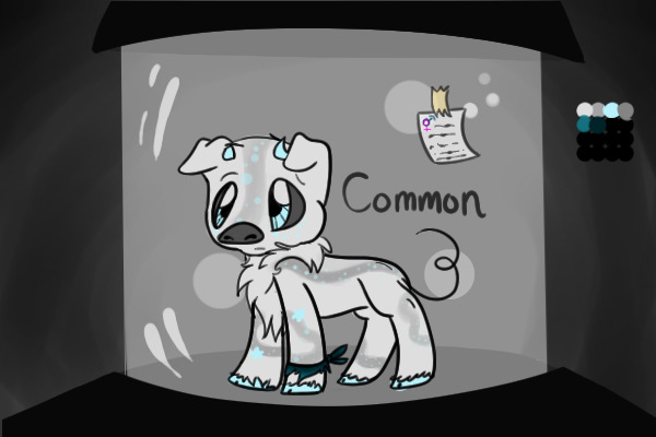 Piggle #12- WINNER c: