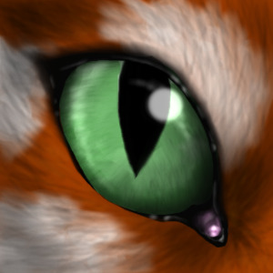 Ariachne's eye