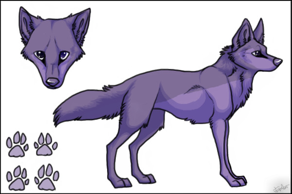 Wolf :3