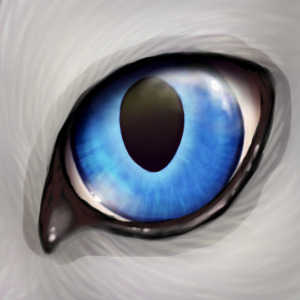 Blizzardfang's Eye