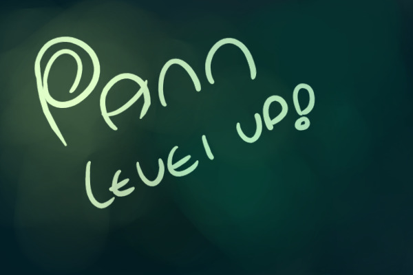 Pann Level Up!