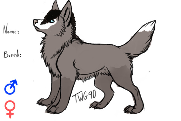 WIP Character Design