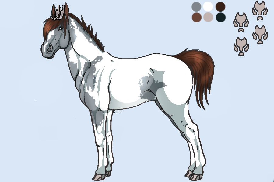 FAE - Blue Roan Overo