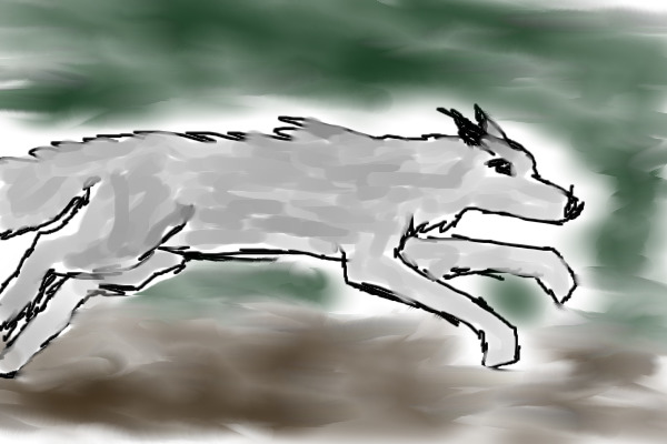 Wolf in a panic