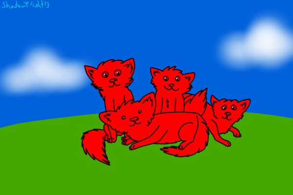 Kitten Group