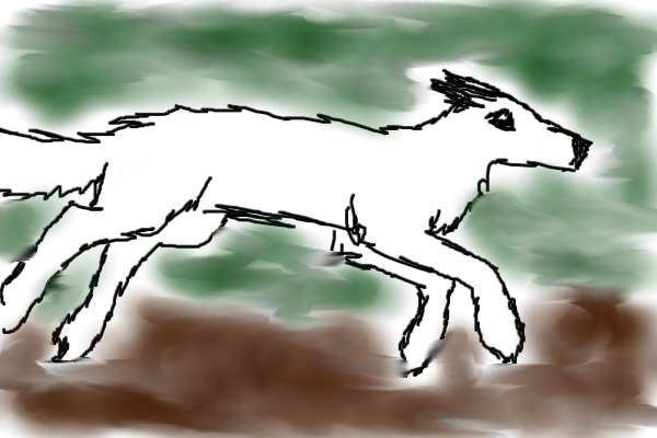 Wolf on the go