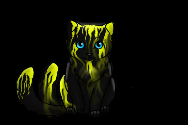 Glow in the Dark Paintball Cat!!!