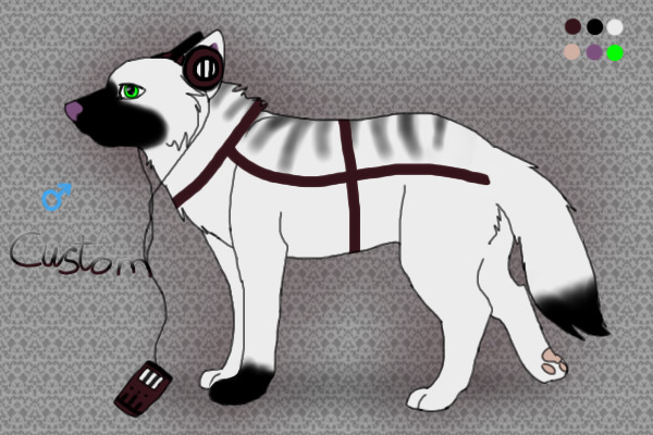 MP3 Canine Custom - for Judar