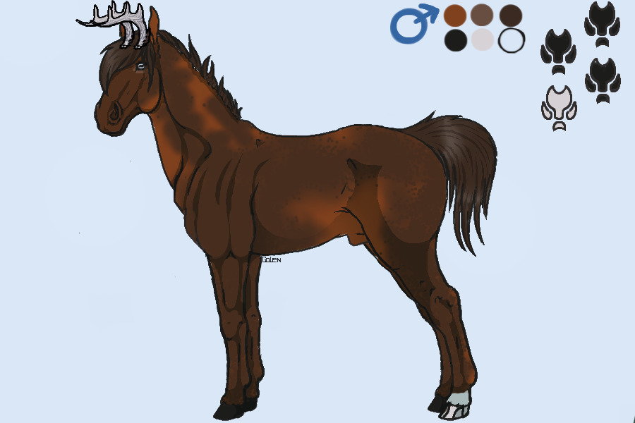 FAE - Sooty Chestnut