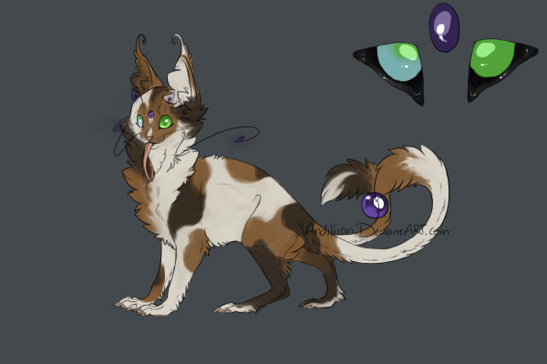 Calico/Tortie Entry - Wingless