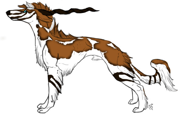 Water-Marked Sable with Parti-Color