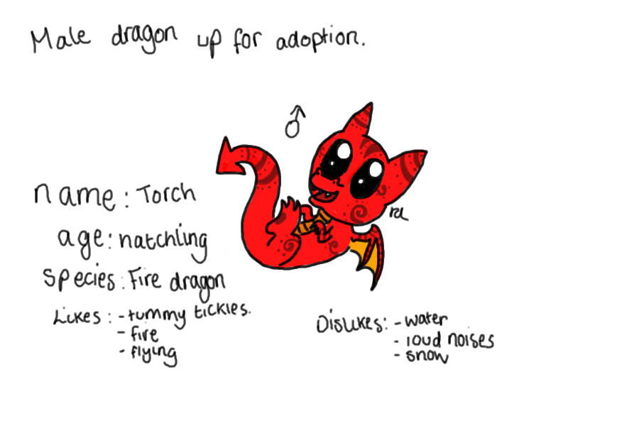 Dragon for Adoption