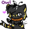 owl avatar
