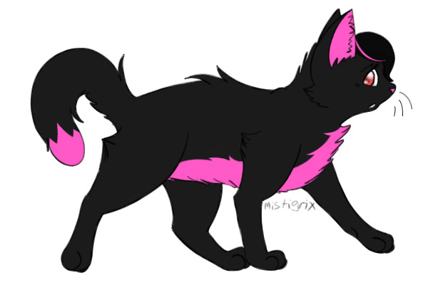 Shadow the Halloween Cat