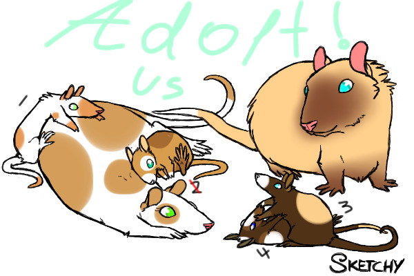 Adopt us! A lil rat family