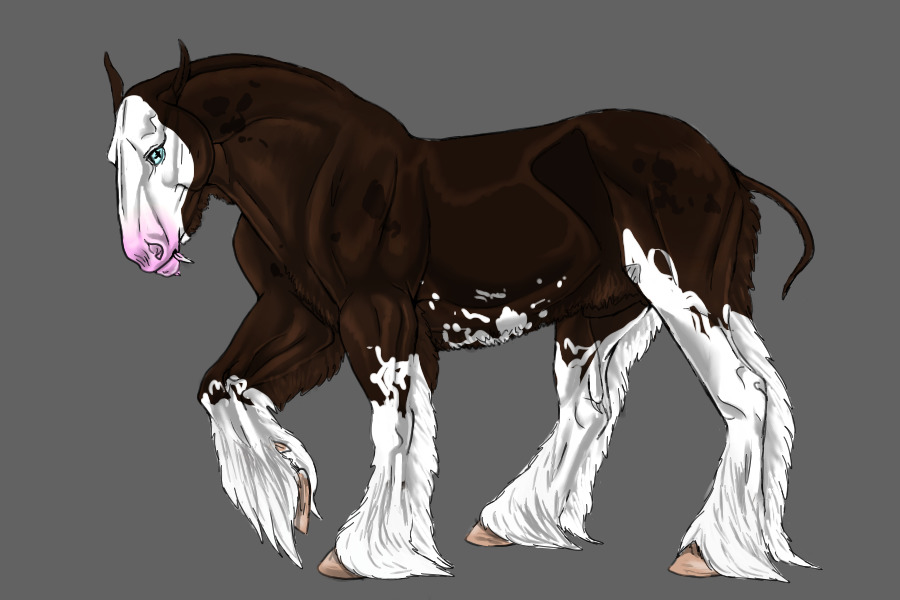 DH #4 : MUTANT Dark Chestnut with Min Sabino and Greas Spots