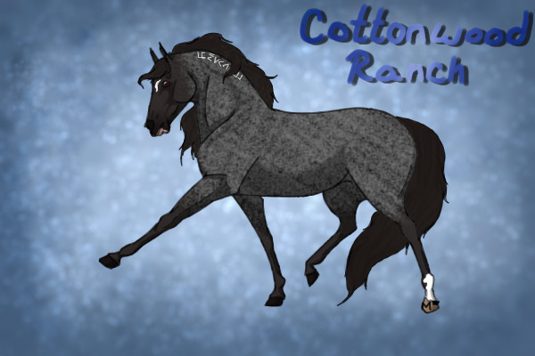 CWHR: Mustang Makeover #793866