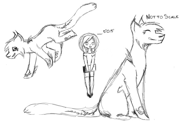 DOODLES!!!