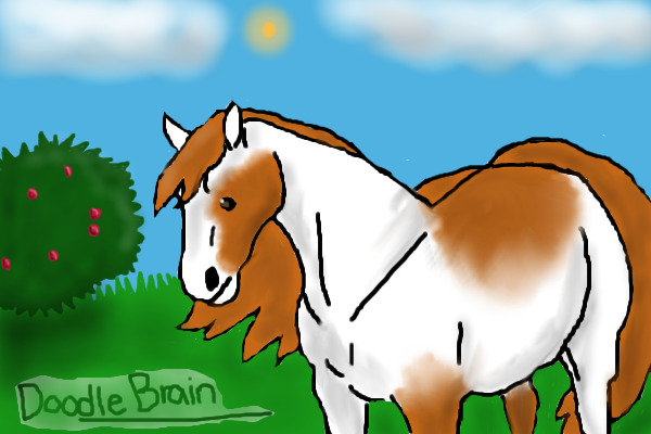 Horse Entry